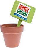 Graphic: Flower pot with sign sticking out that reads - Jersey Grown